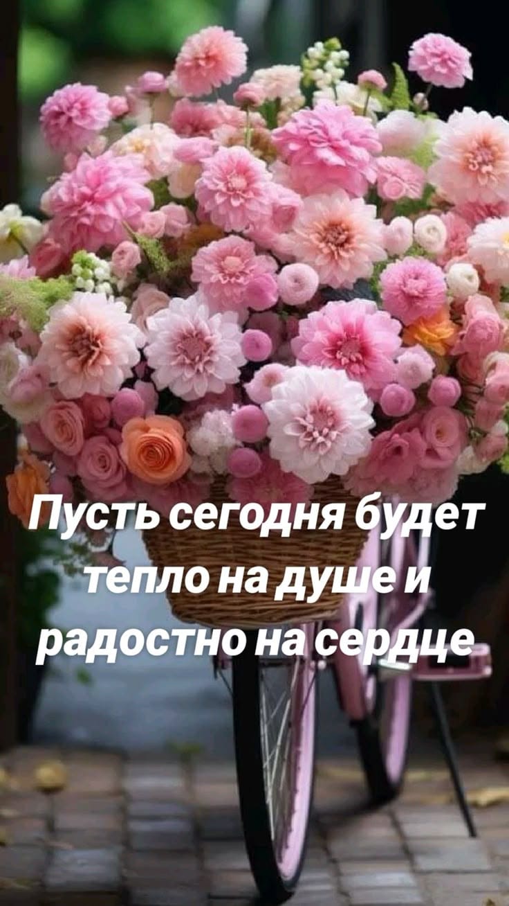 В ответ на открытку, с радушием в дом...