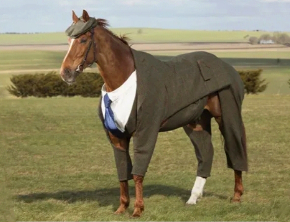 Конь в пальто