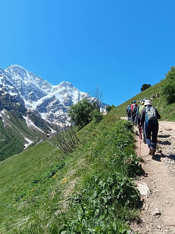 Ну что, мой друг, пойдем в поход