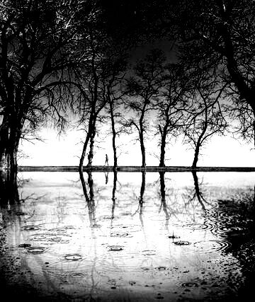 Попутчик в Одиночество...