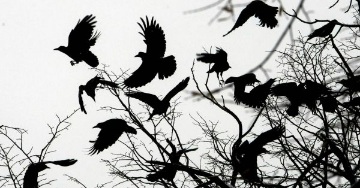 В былом остались