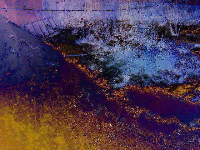 Осень всё светлей. Полистихийная поэзия