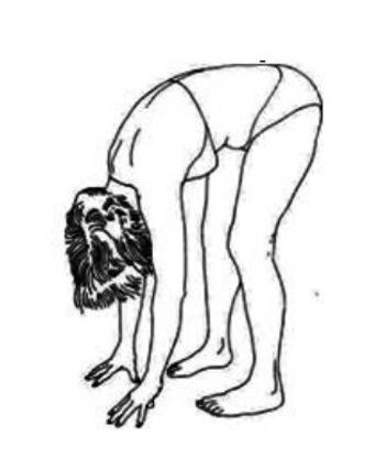 Тело как антенна