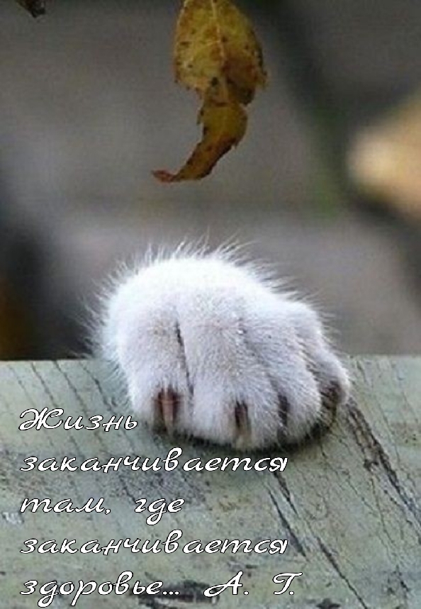 Сравнительная полезность