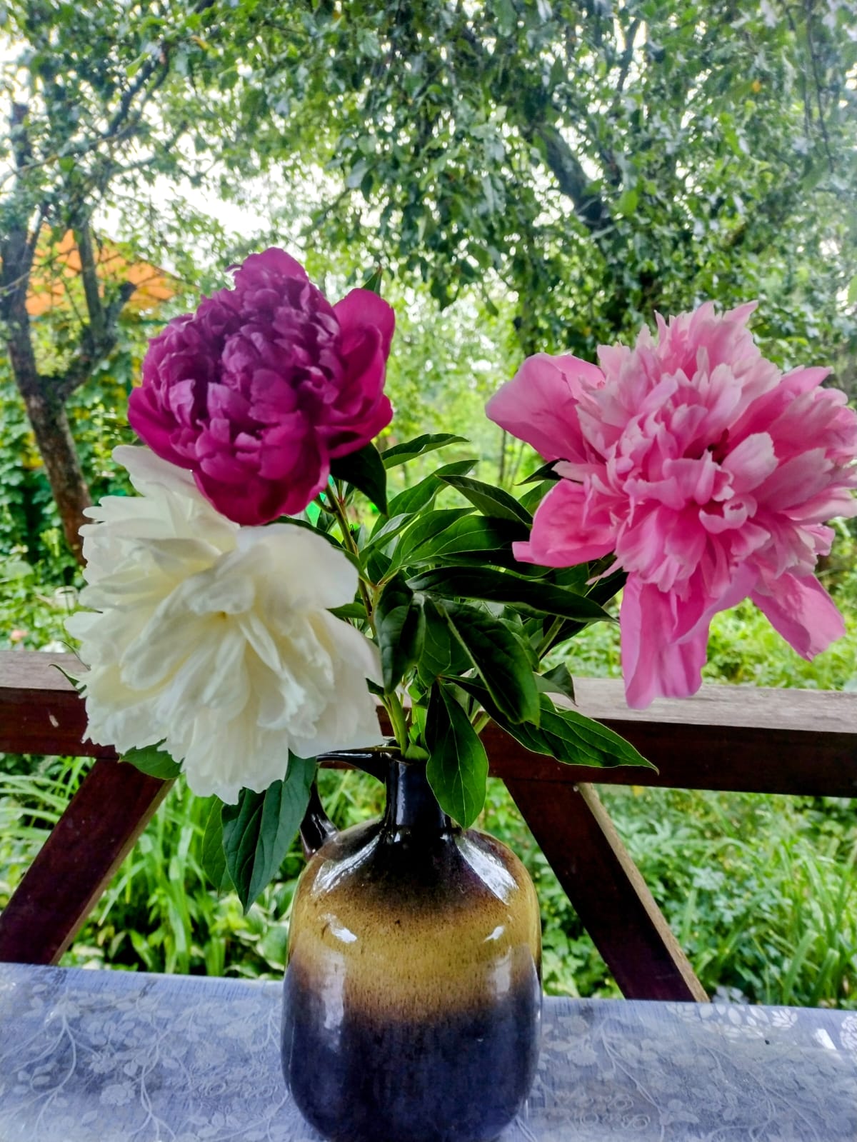 Мила, красива, очи ясны