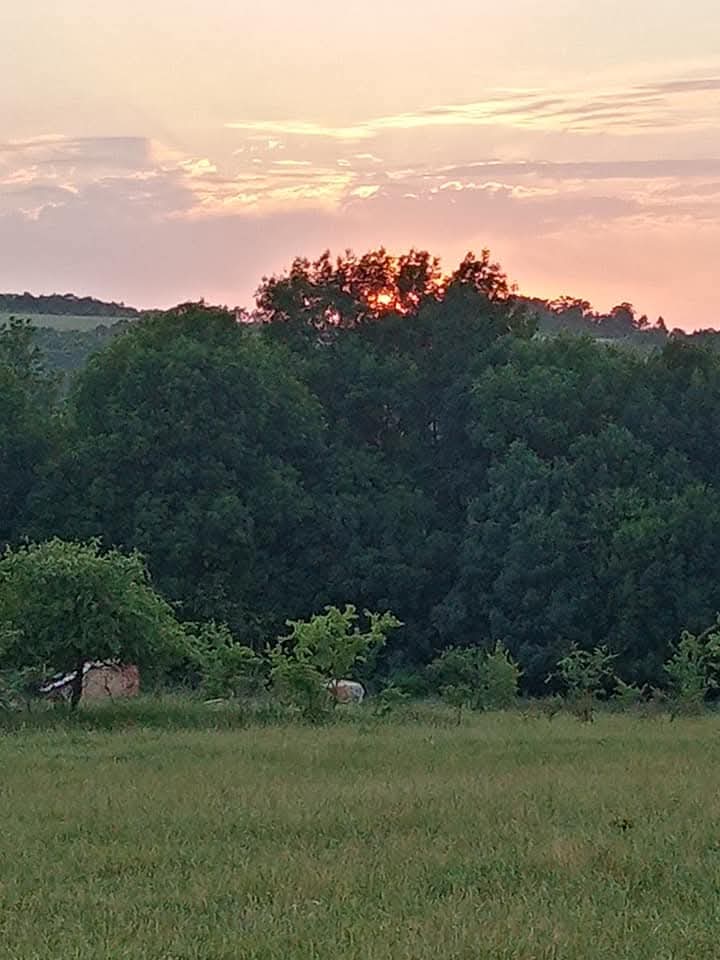 Эмили Дикинсон J712 Поскольку не могла сама