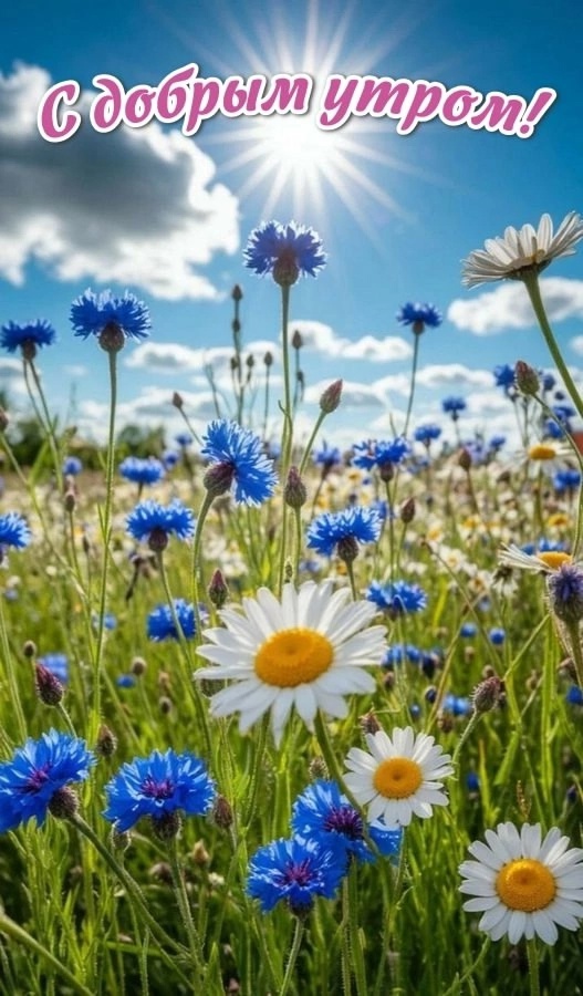 26 июня. С добрым утром...