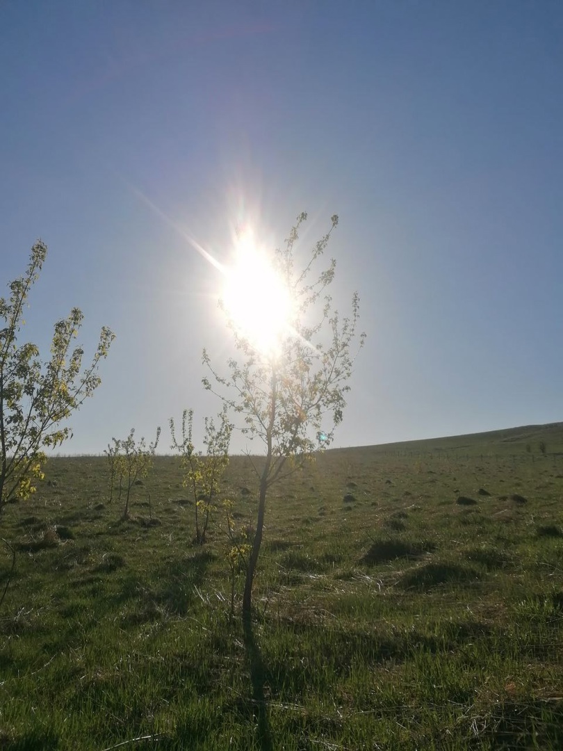 Сияние солнечной свечи