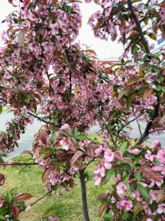 Счастье нового дня