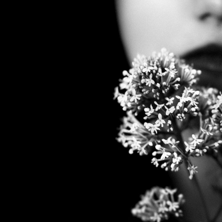 Я - тишина его. Вот здесь