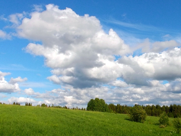 Белая ночь. 3324