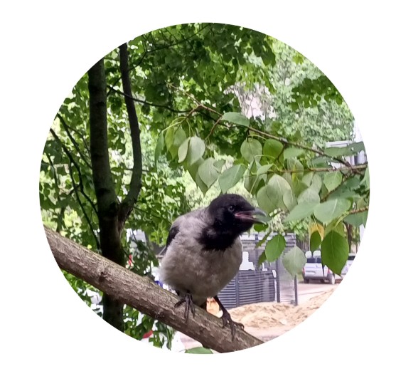 Сострадай, всему живому