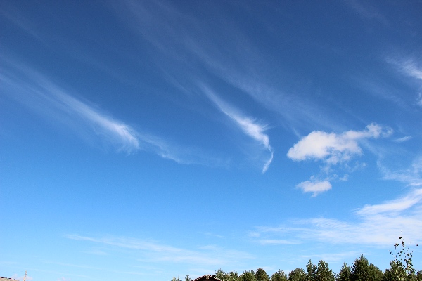 Белая ночь. 3343