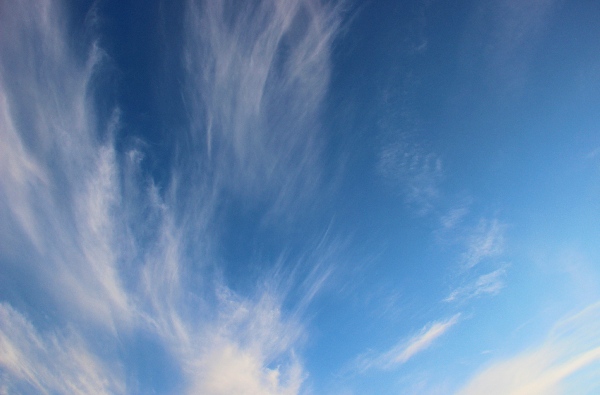 Белая ночь. 3344