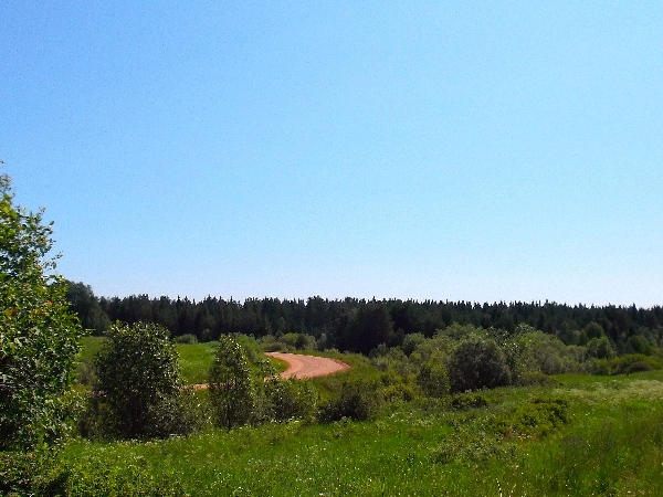 Белая ночь. 3347