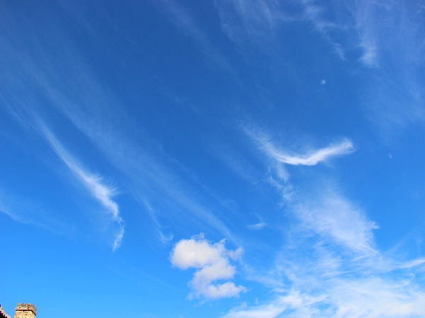 Белая ночь. 3349