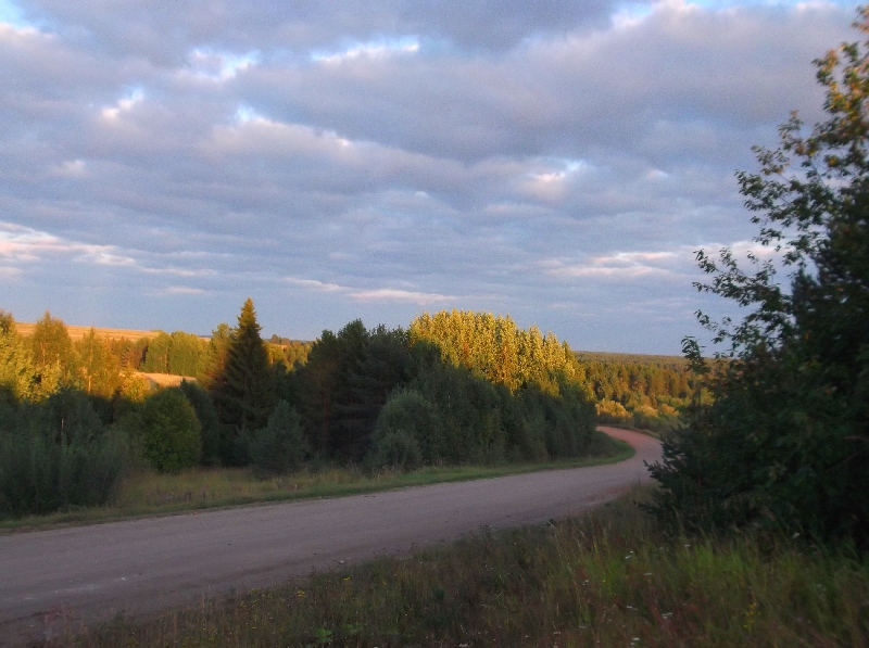 Белая ночь. 3353