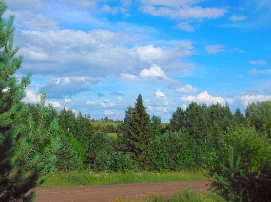 Белая ночь. 3354