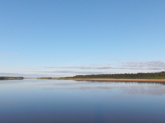 Белая ночь. 3355