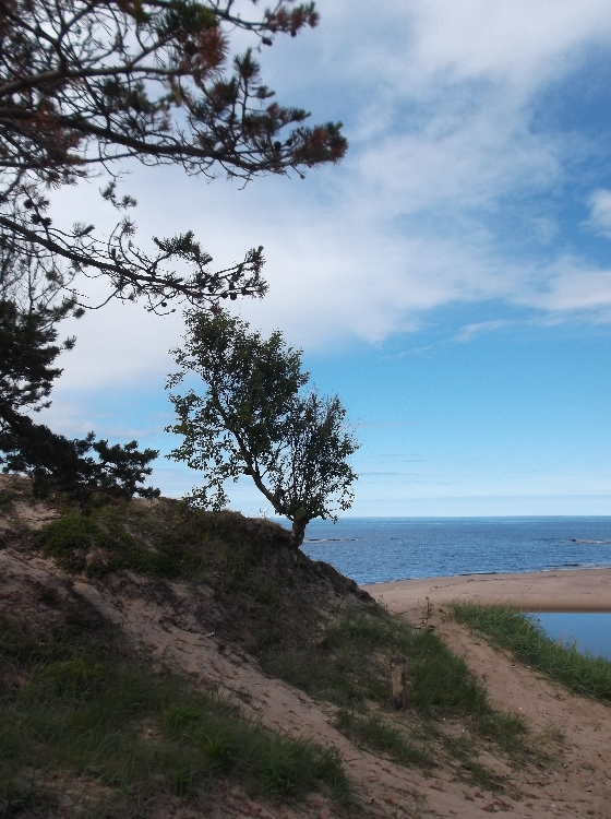 Белая ночь. 3330