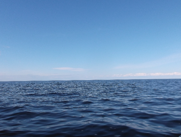 Белая ночь. 3331