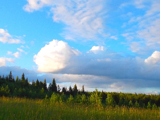 Белая ночь. 3356