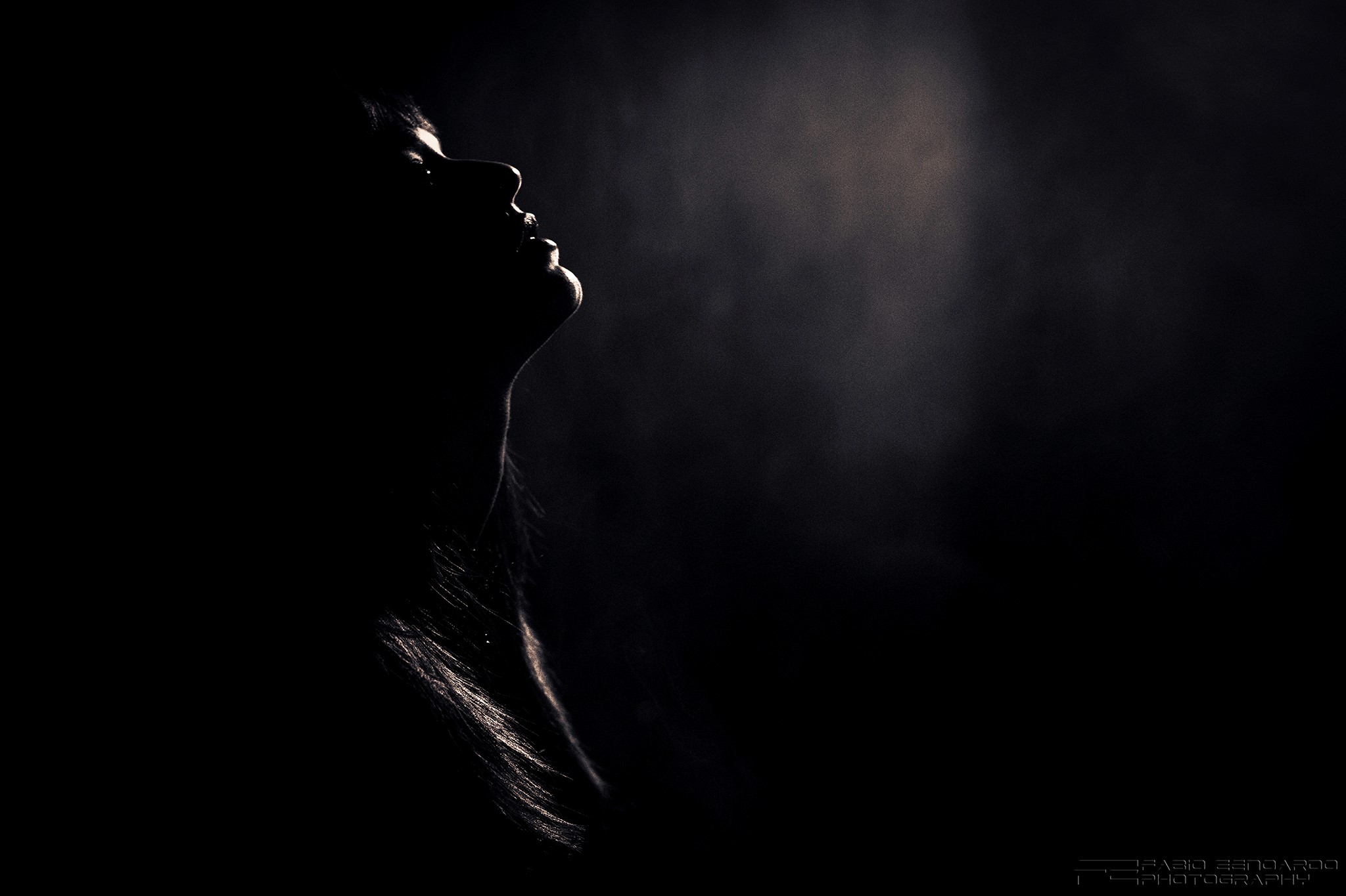 Недосказанные слова