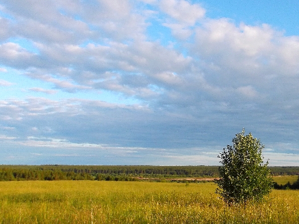 Белая ночь. 3359