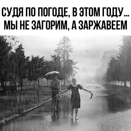 Мокрое лето...