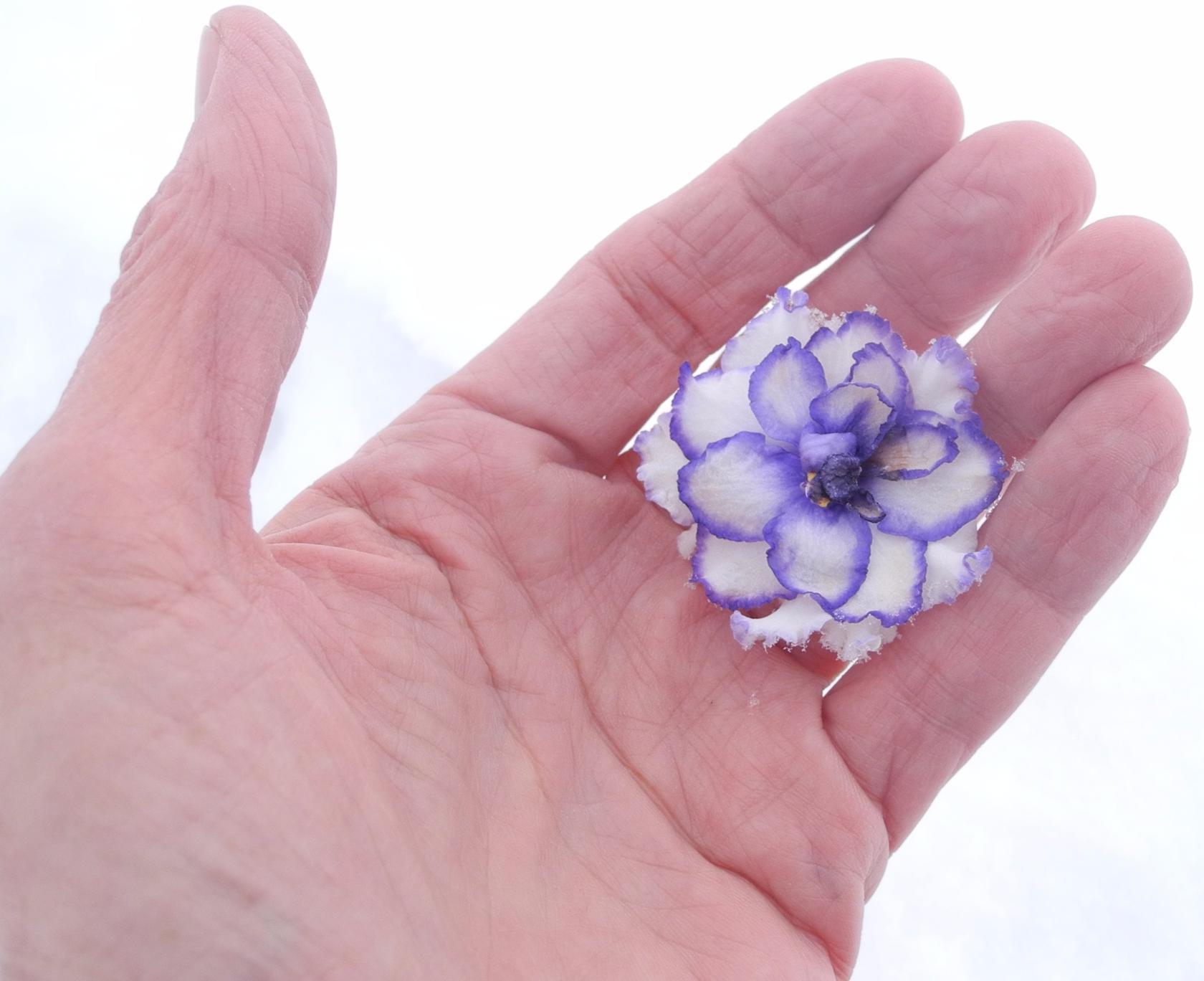 Я влюблён...