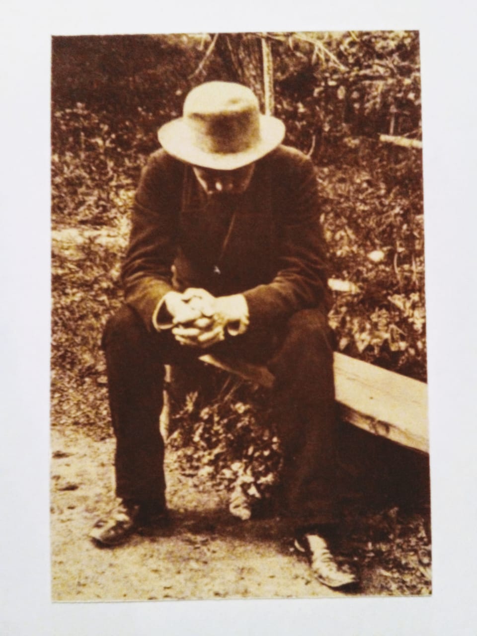 Каштанка для взрослых... финал