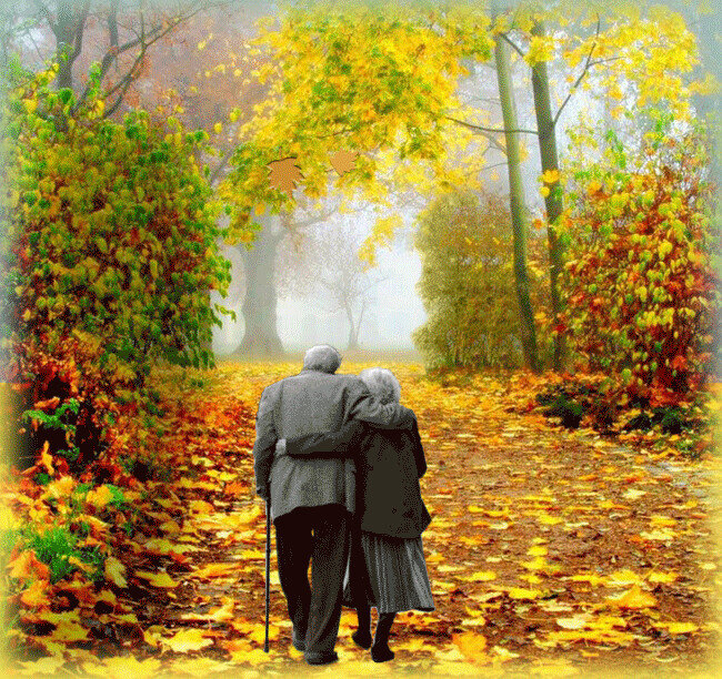 Пойдем гулять