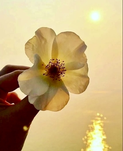 Обними меня