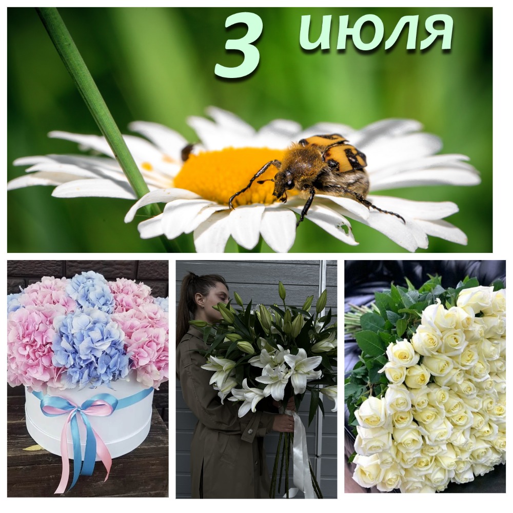 Вот такая я Чучундра