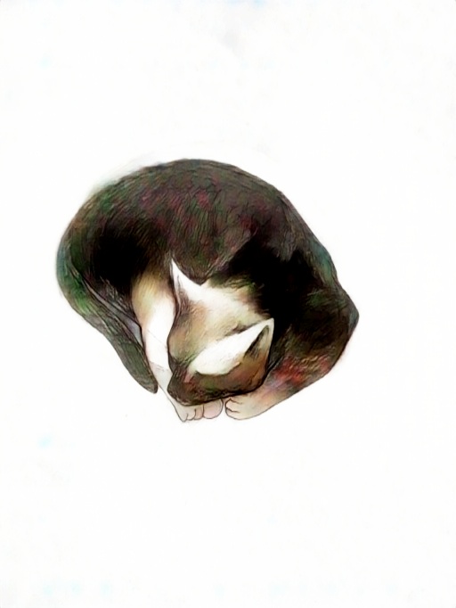 Очередной сон кошки