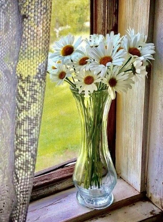 Ничего нового