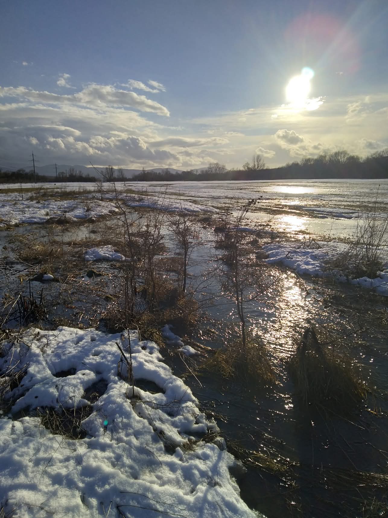 Эмили Дикинсон J74 Красная Дама