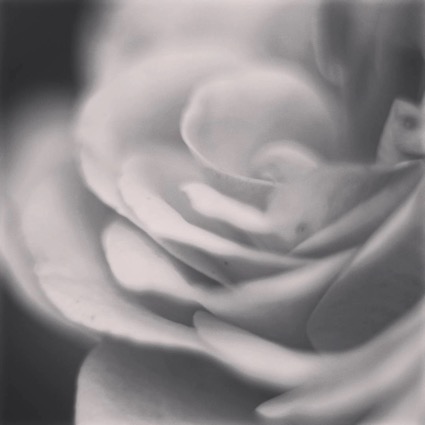 Поэты - посвящается поэтам