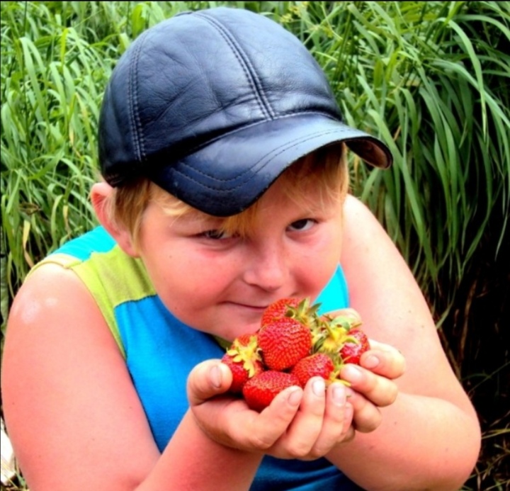 Эмили Дикинсон J251 Там за забором