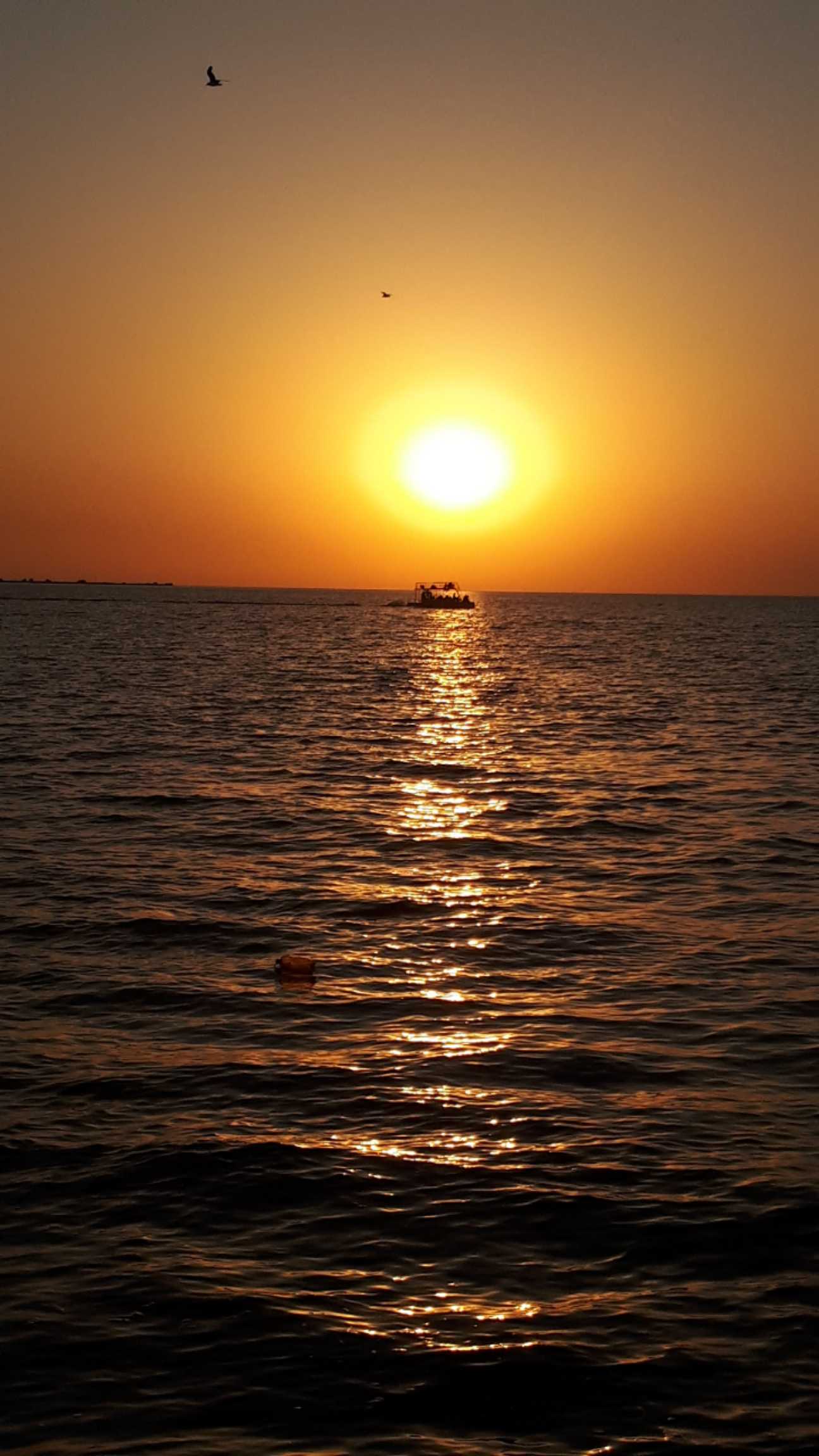 День рыбака