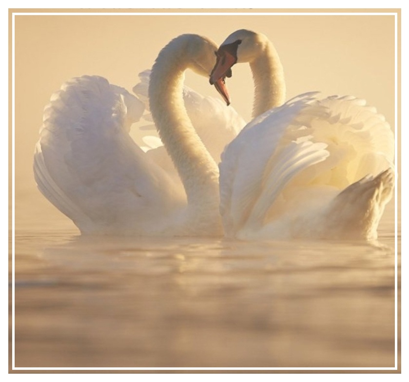 Песня о любви...