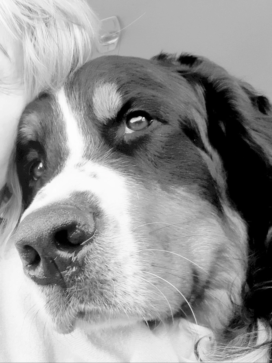 Вуаль небесного сатина