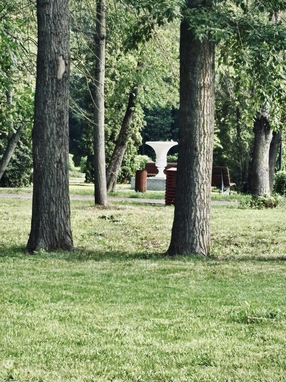 Утро тишины