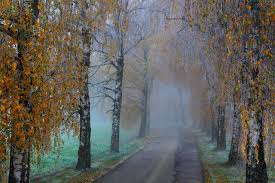 И впереди - дорога!