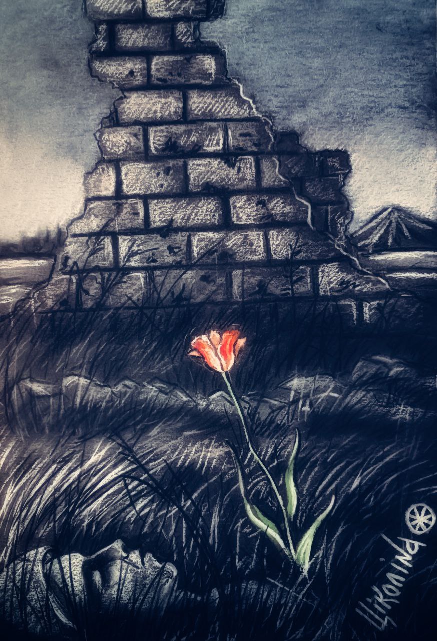 Летали бабочки над выжженной землёй