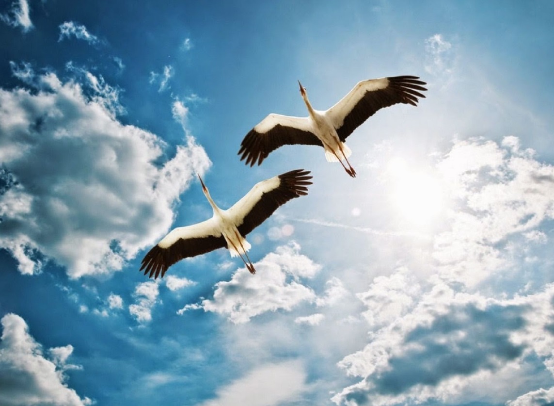 Красота для меня...