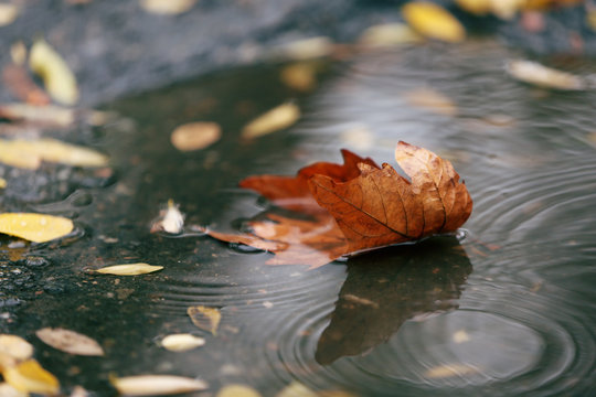 Пустые слова