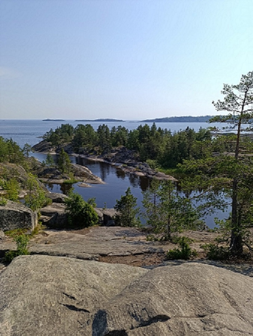 19 июля. Мысли и чувства вслух...