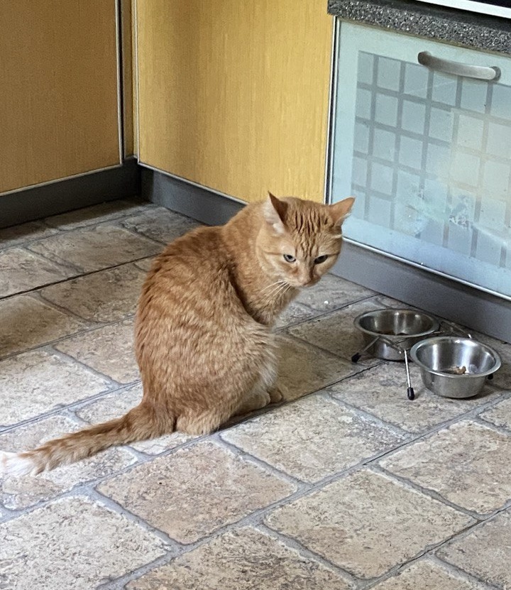 несправедливое