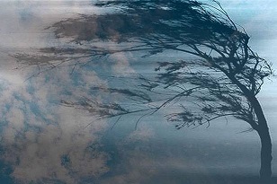 Ночной ветер